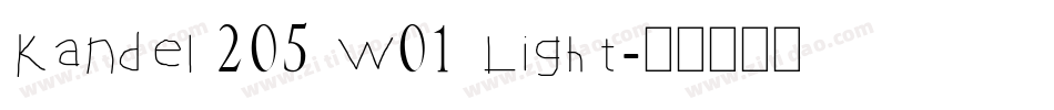 Kandel 205 W01 Light字体转换